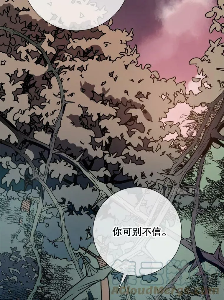 89.奇怪的布谷鸟36