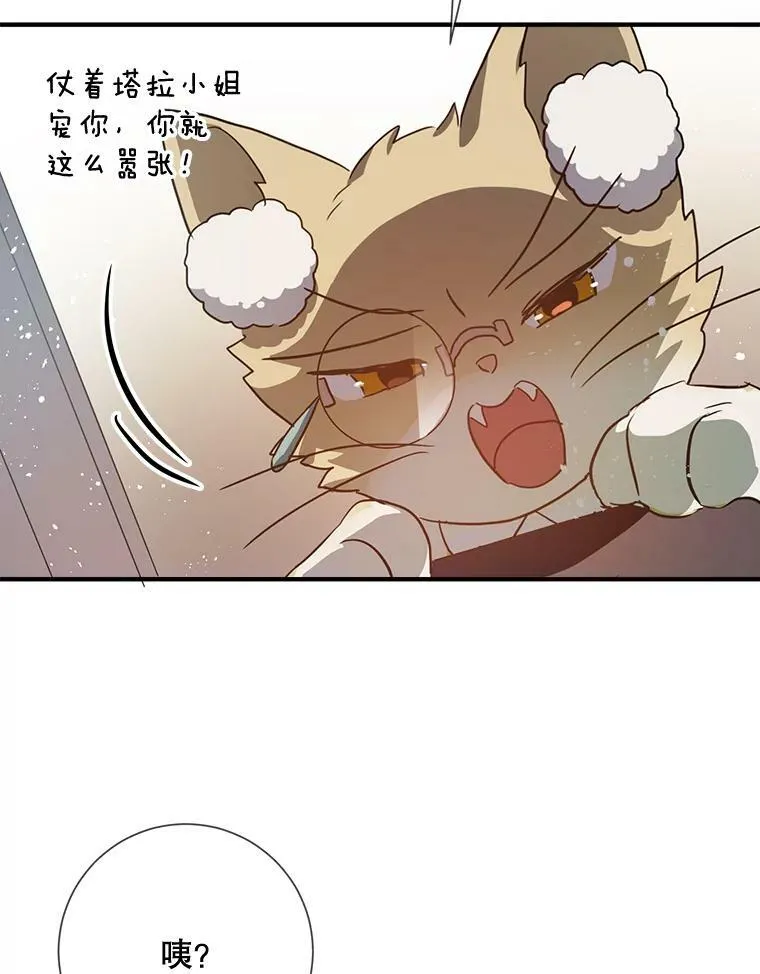 76.飞驰71