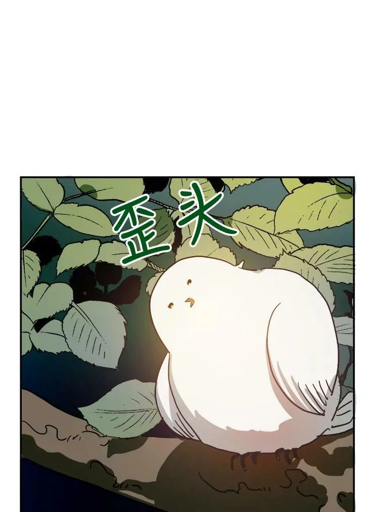 23.会说话的小鸟41