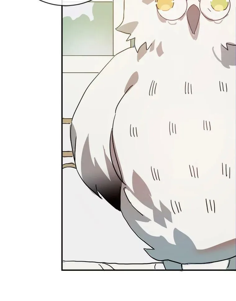 29.伤疤16