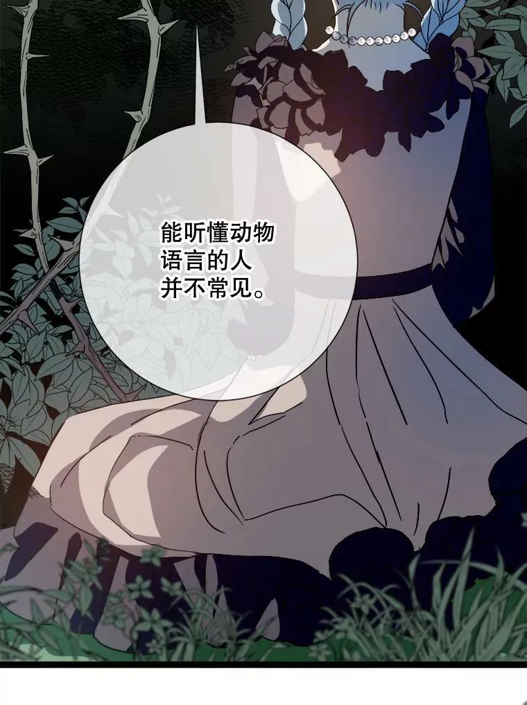 89.奇怪的布谷鸟38