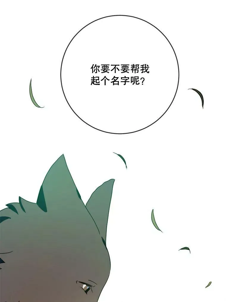 51.塔拉的魔力97