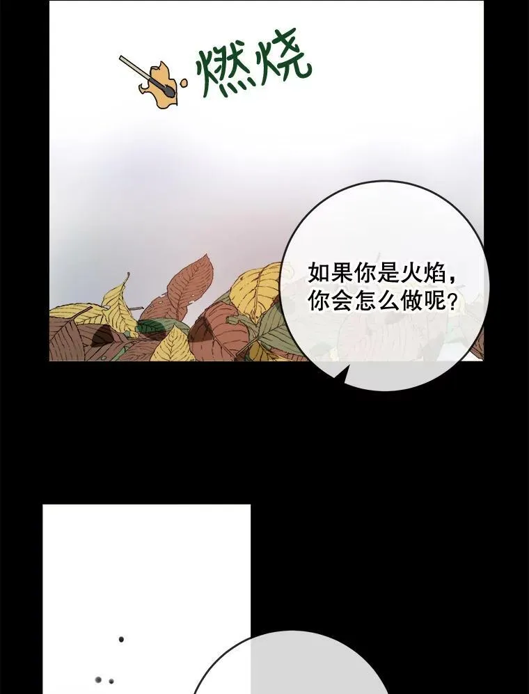 30.火焰和落叶8
