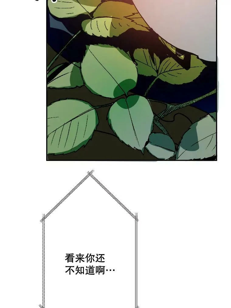 23.会说话的小鸟44