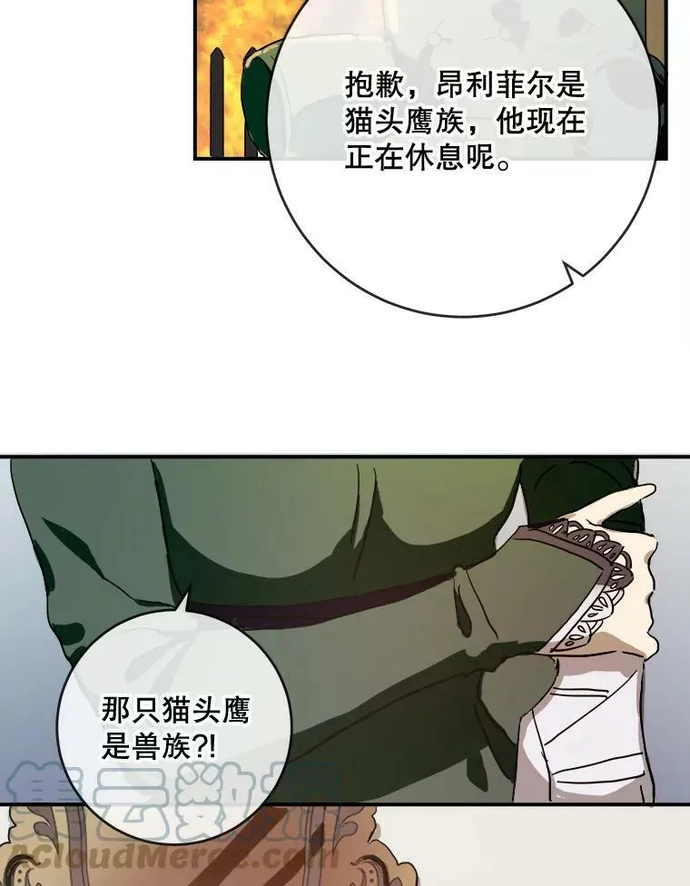 31.书里的秘密（1）12