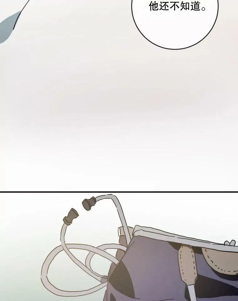 29.伤疤13