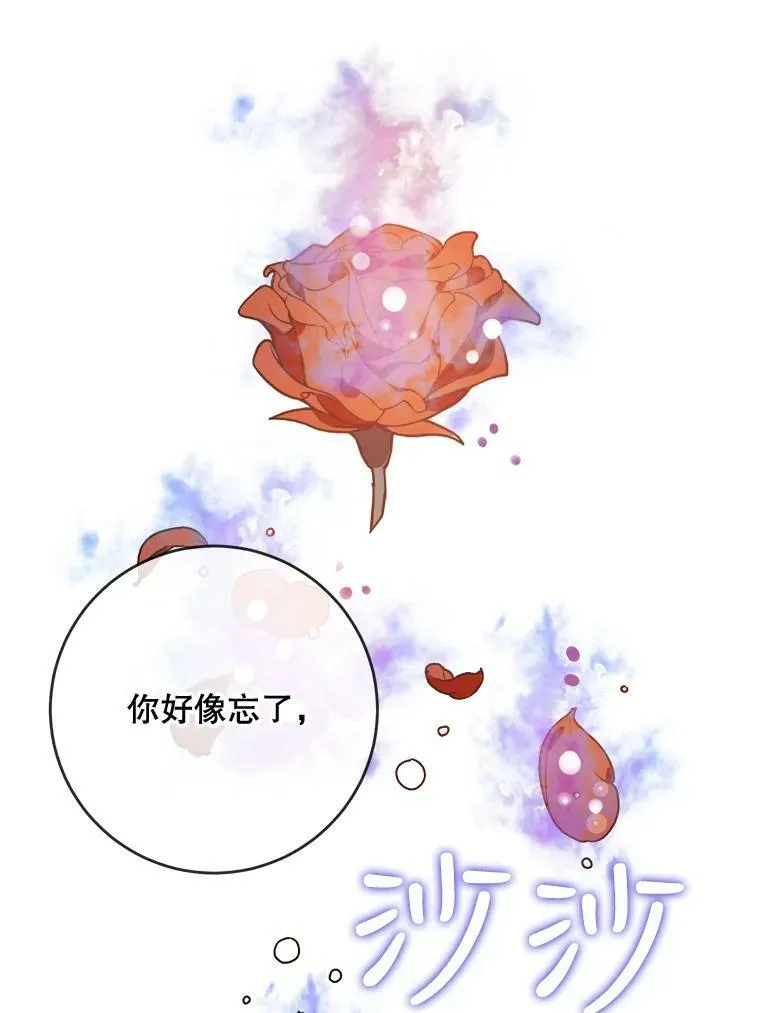 44.偶遇阿尔贝拉（2）19