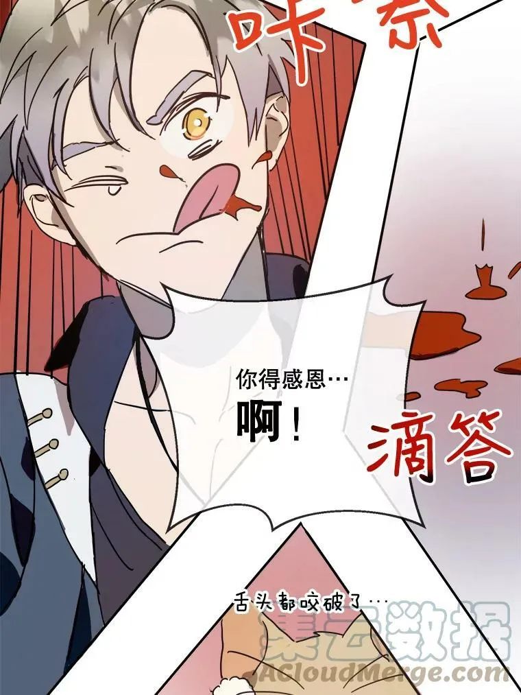 29.伤疤45