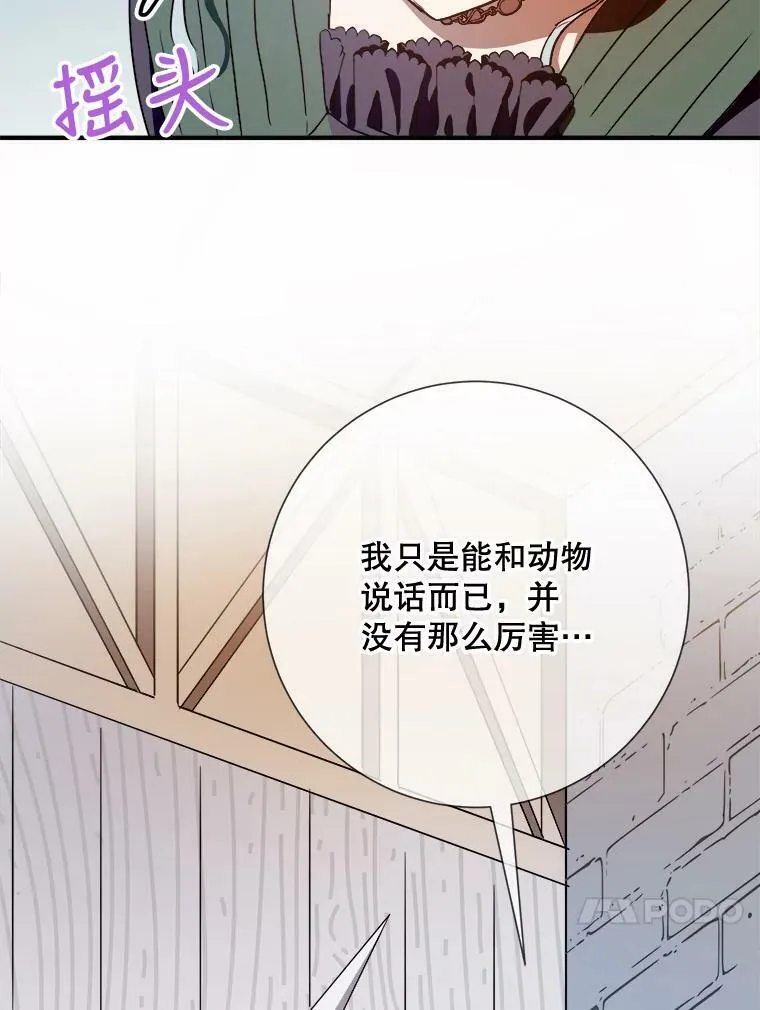 75.独角兽26