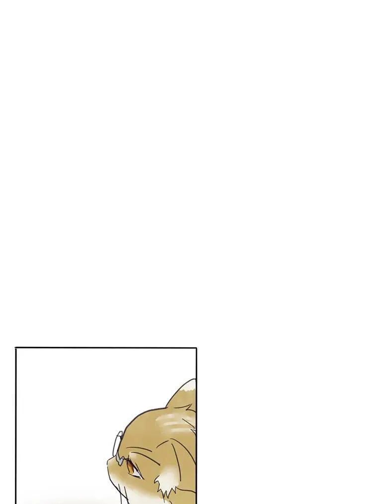 3.要杀掉她吗？31