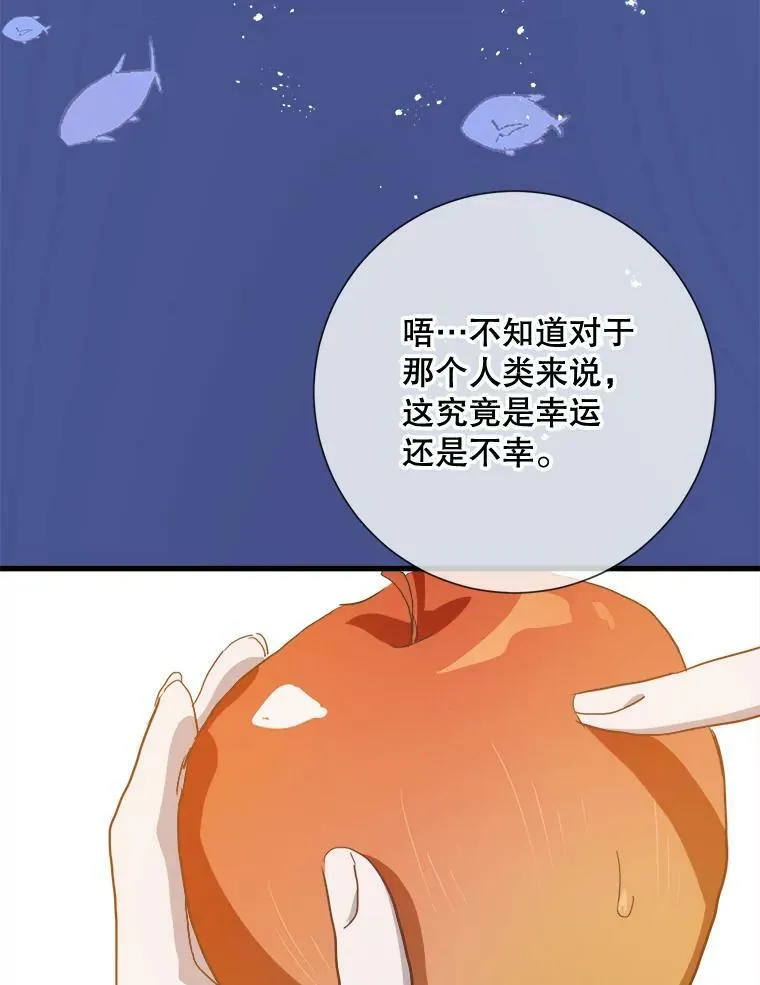73.水族的故事31