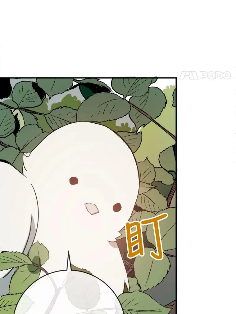 31.书里的秘密（1）46
