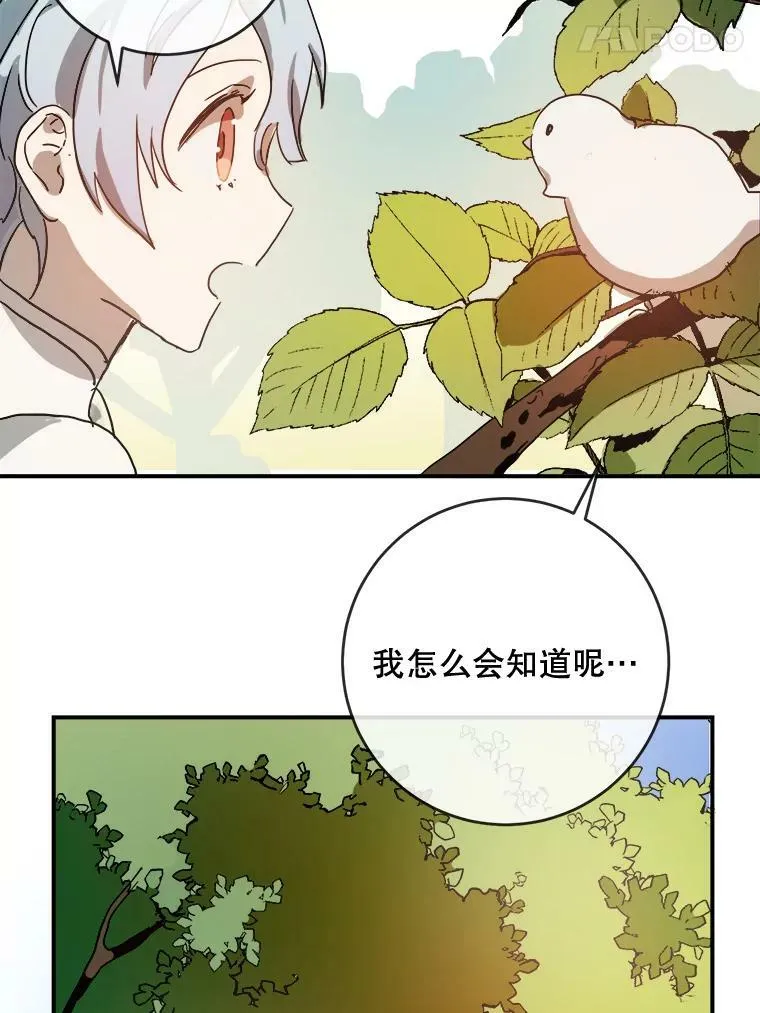 31.书里的秘密（1）43