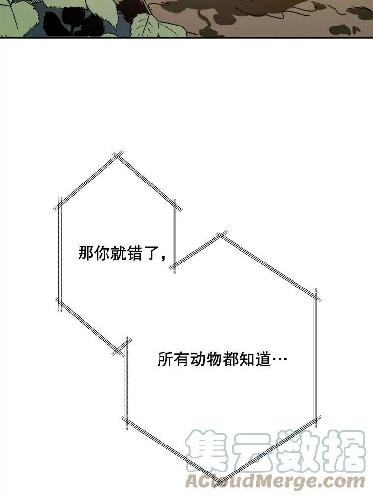 23.会说话的小鸟36