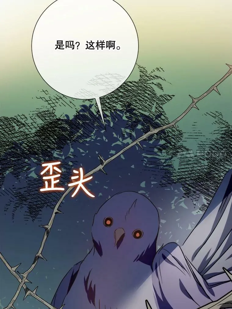 89.奇怪的布谷鸟49