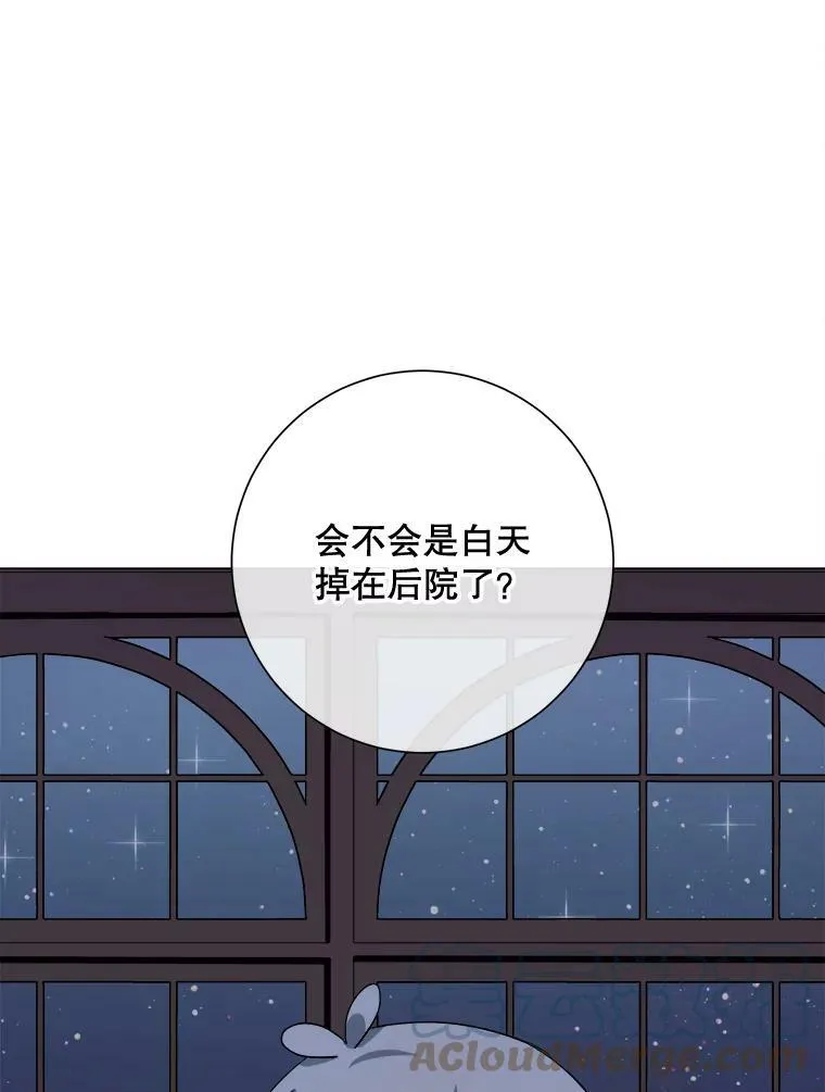 63.丢失的项链48