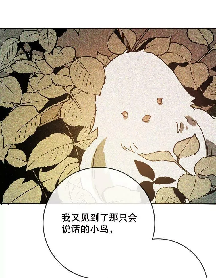 32.书里的秘密（2）14
