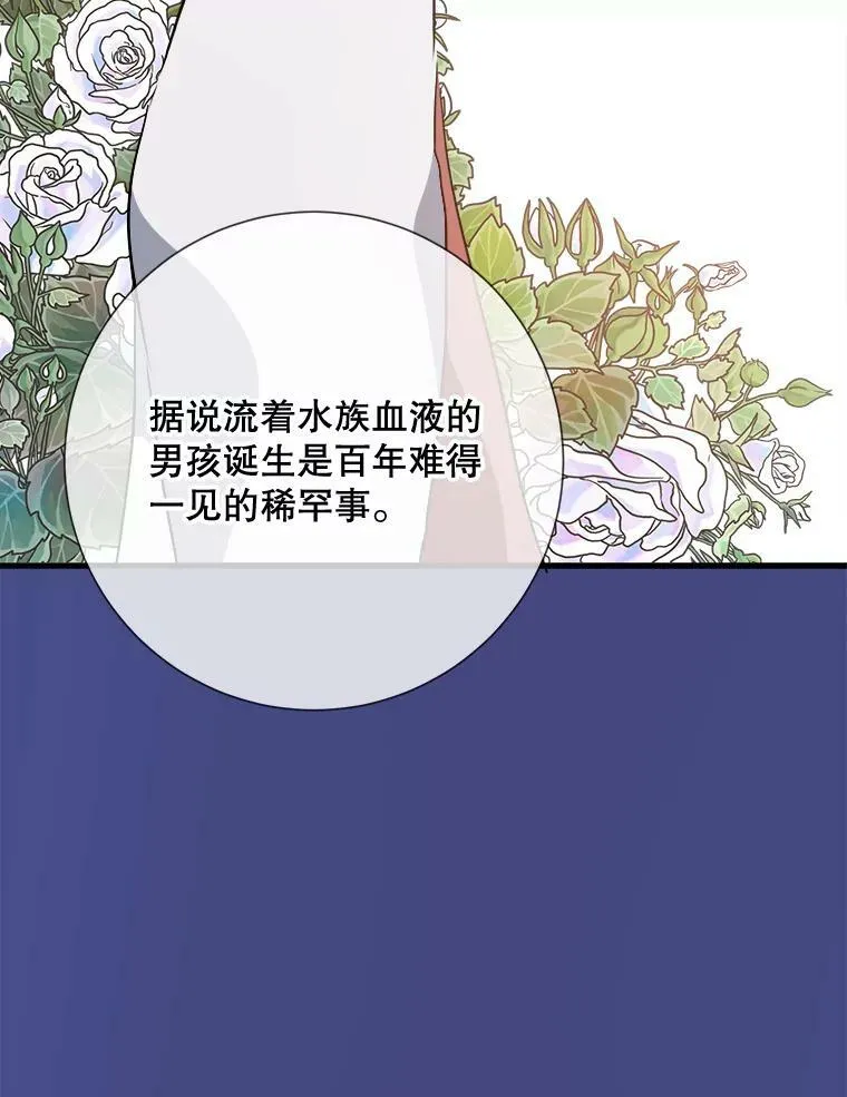 73.水族的故事34