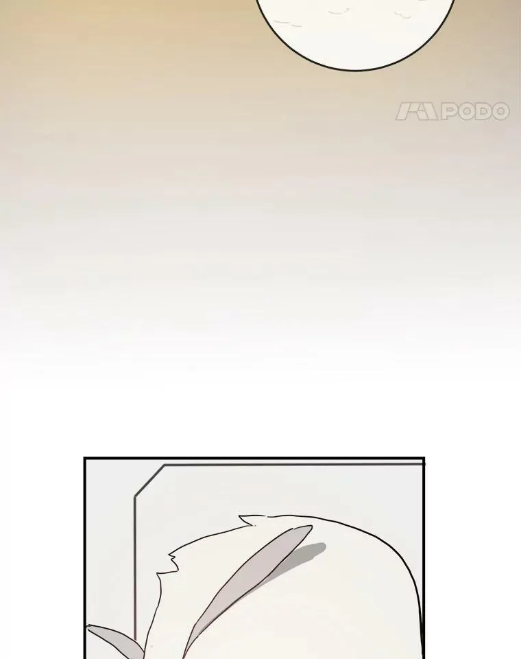 29.伤疤8