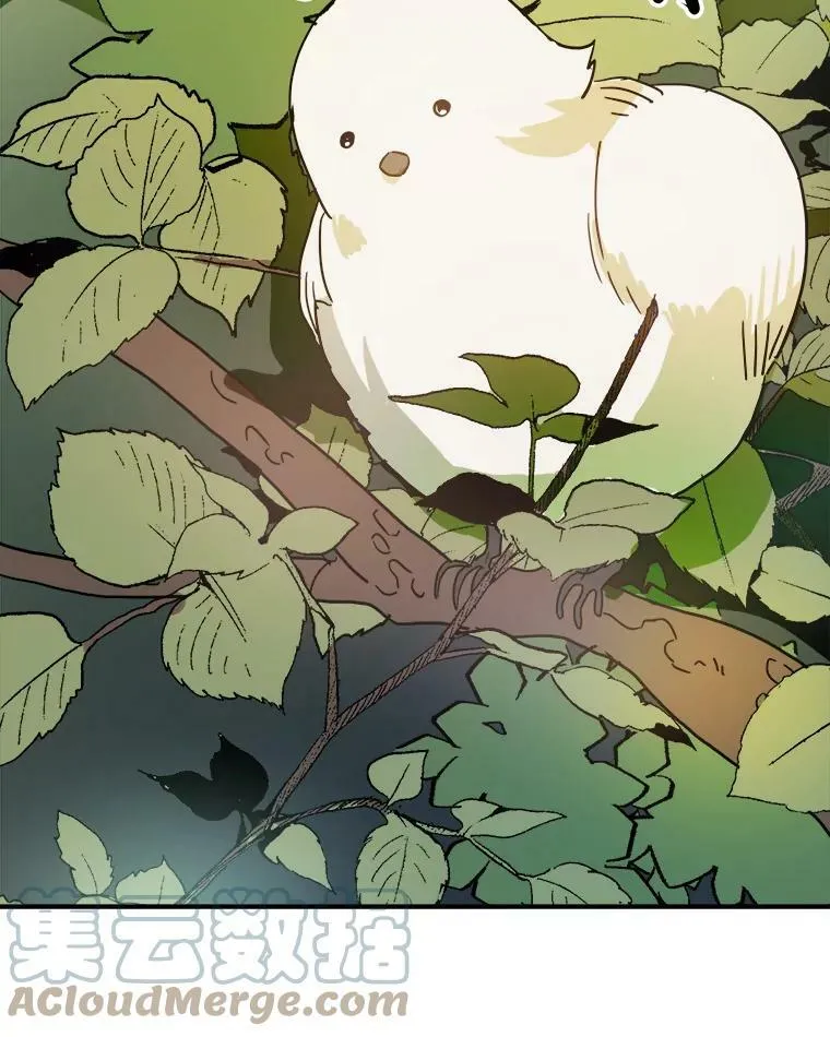 23.会说话的小鸟15