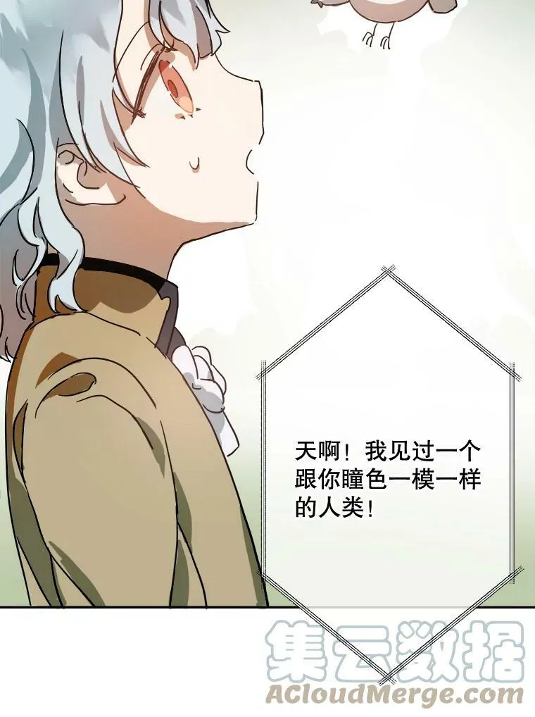 23.会说话的小鸟60