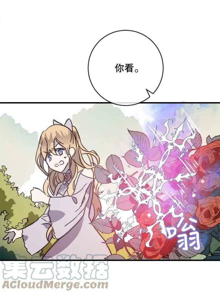 44.偶遇阿尔贝拉（2）18