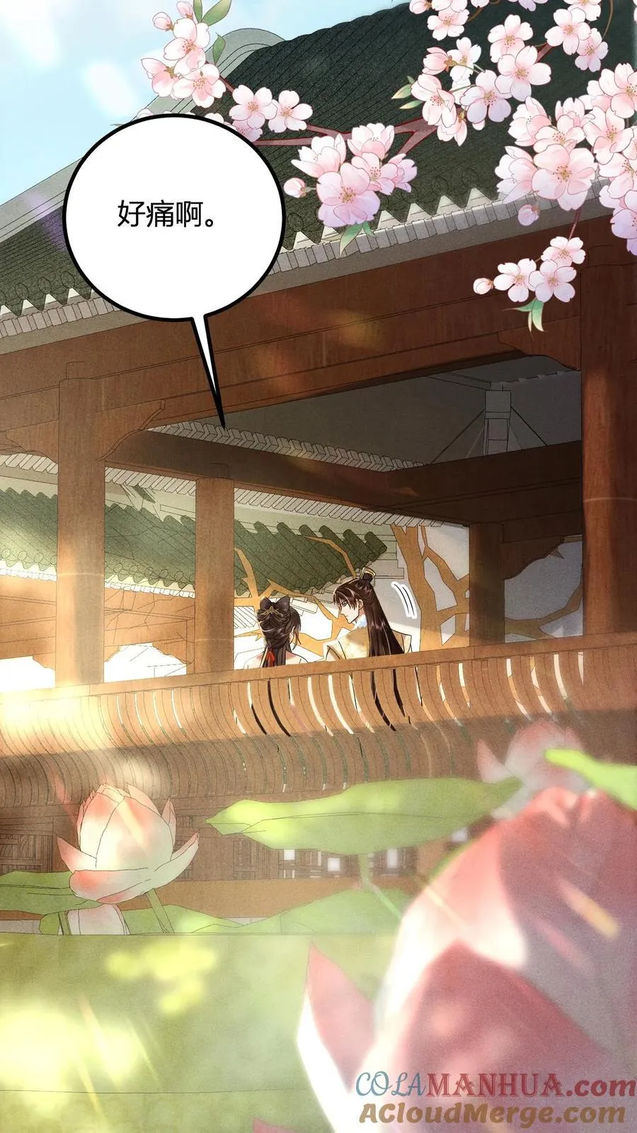 第214话 桃花最有情2