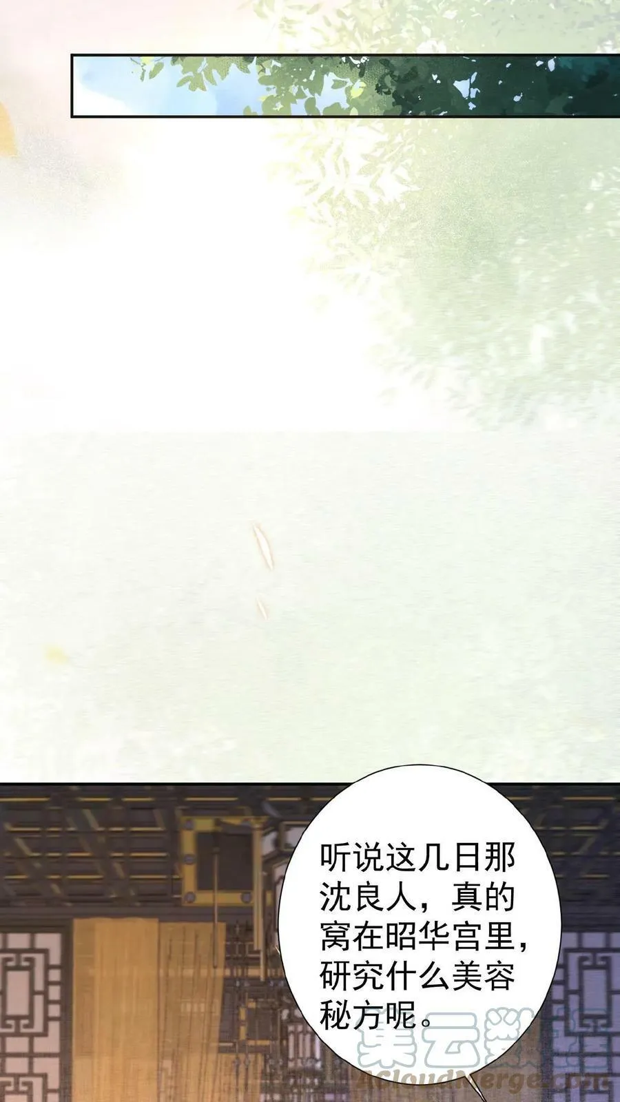 第14话 避孕小药丸10