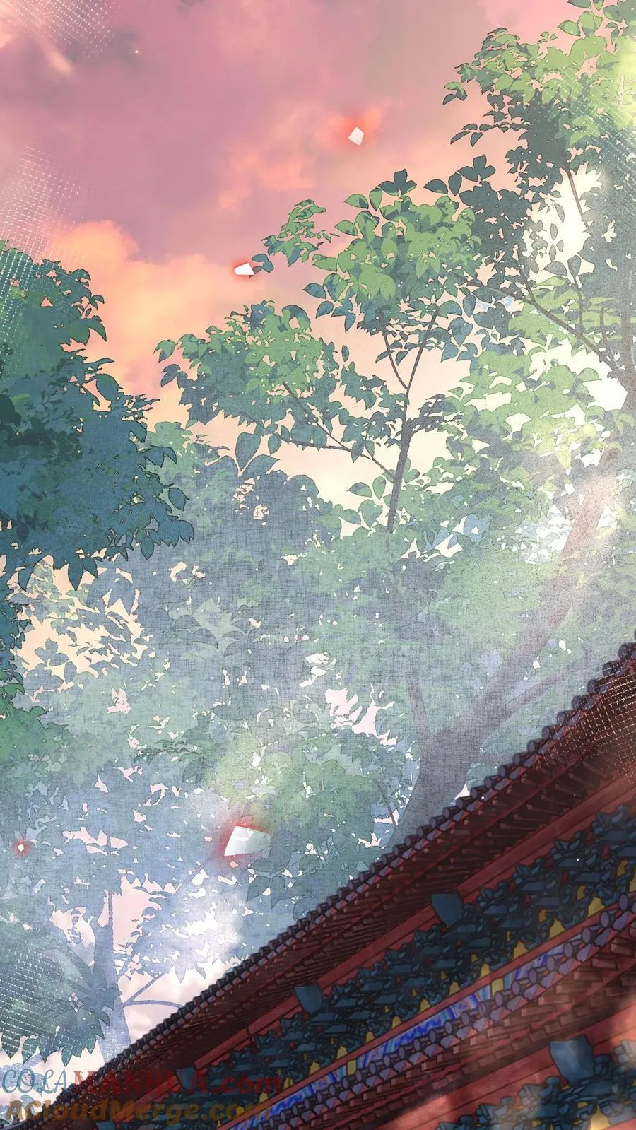 第223话 长寿面16