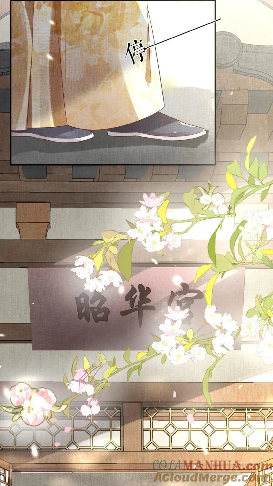 第146话 可笑的母子情22