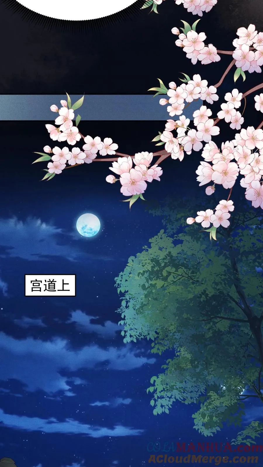 第205话 截胡18