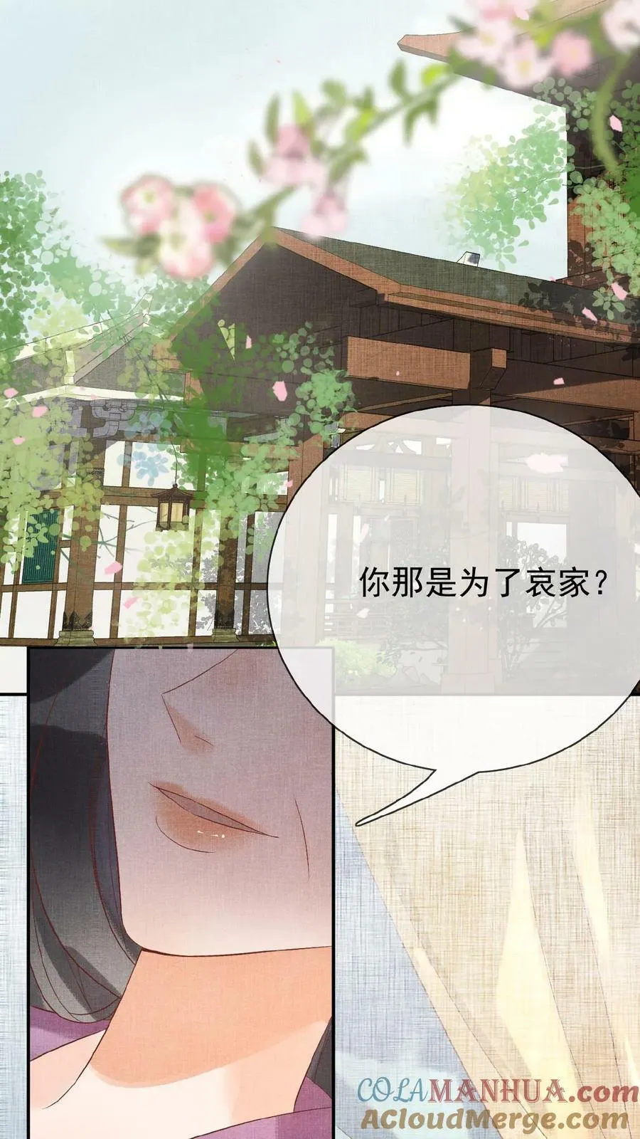 第146话 可笑的母子情2