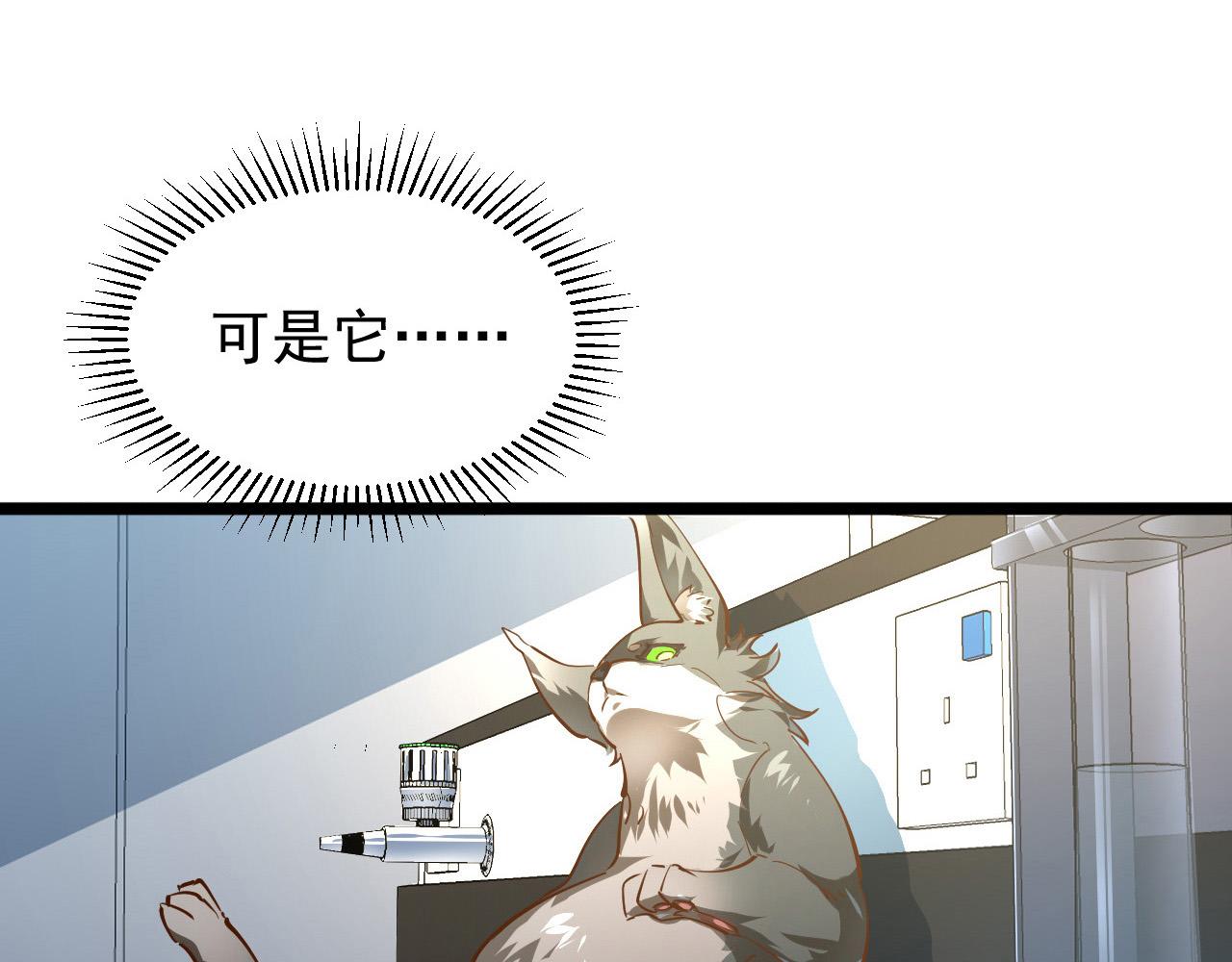 082 孵化52