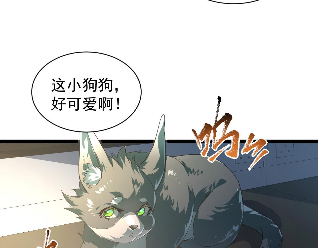 082 孵化74