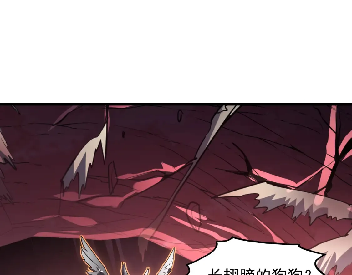 249 崽崽的蜕变77