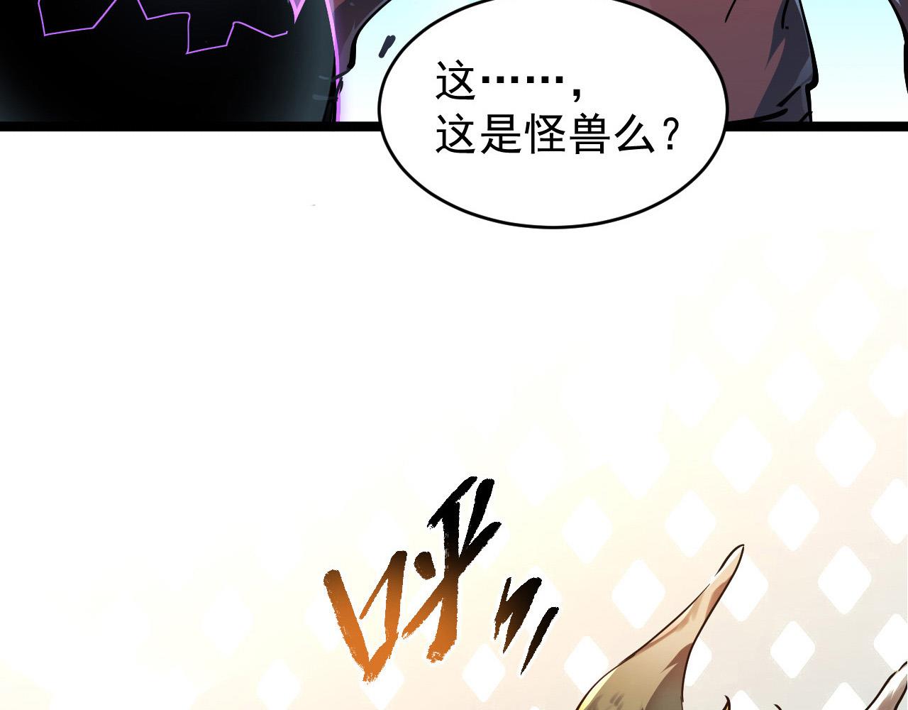 082 孵化33