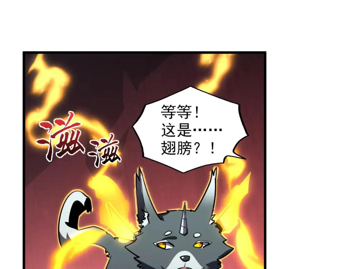249 崽崽的蜕变39
