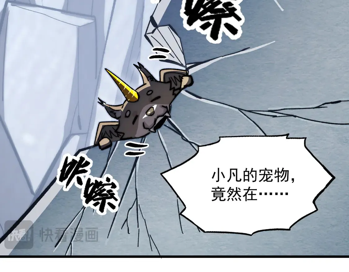 276 小家伙的彻底蜕变82