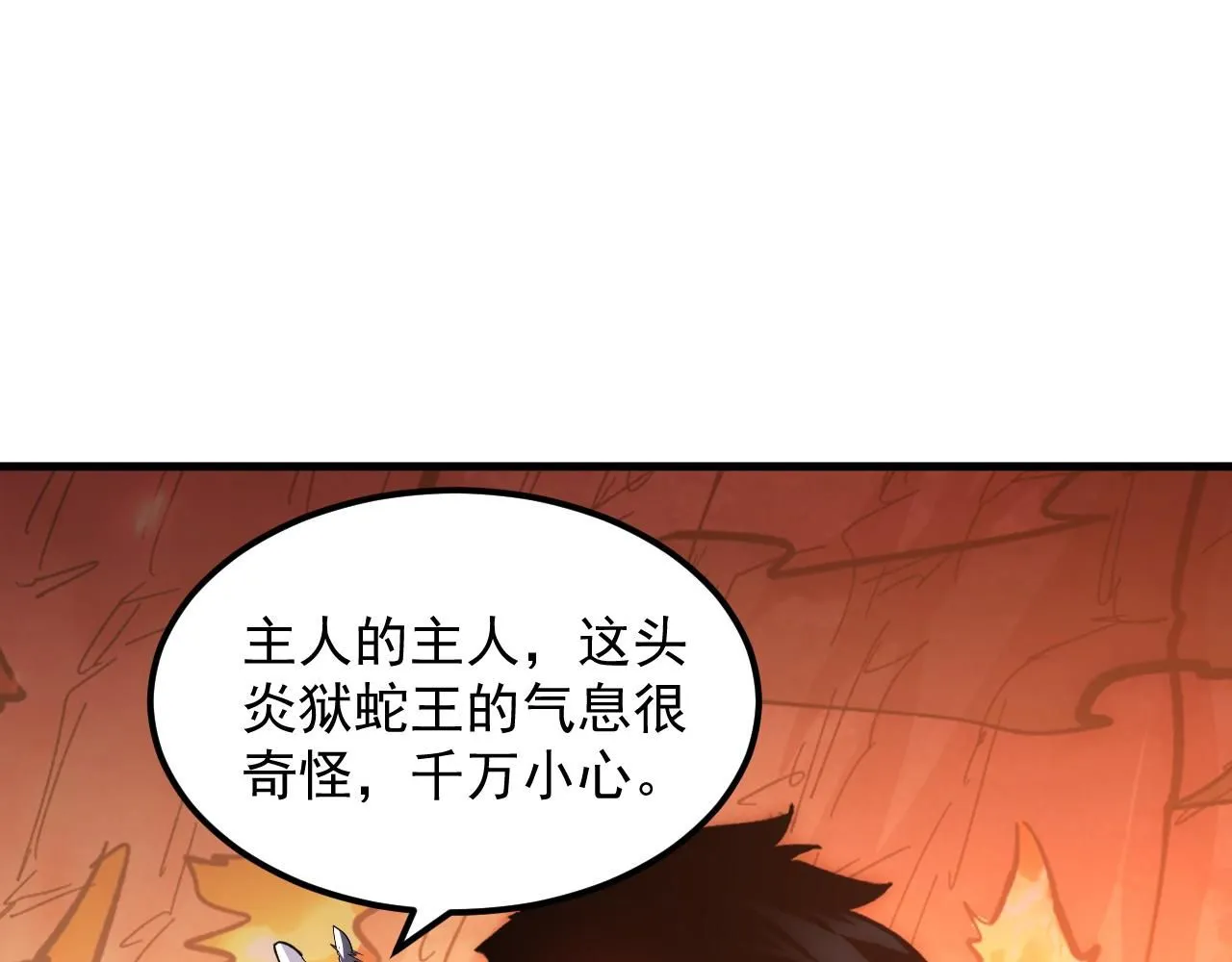 213 各自的底牌17