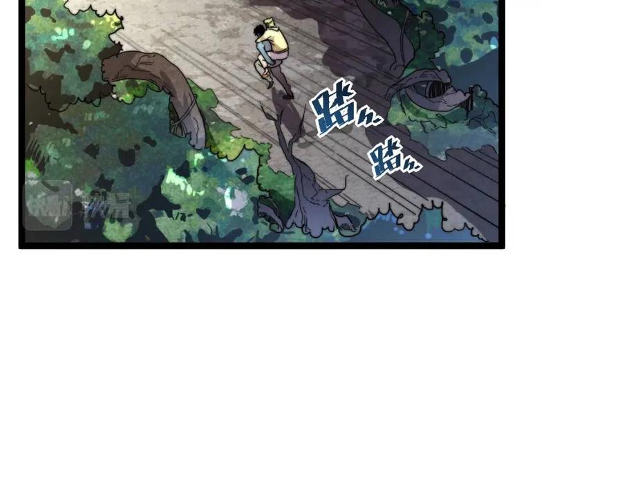 第025话 异宝秘闻5