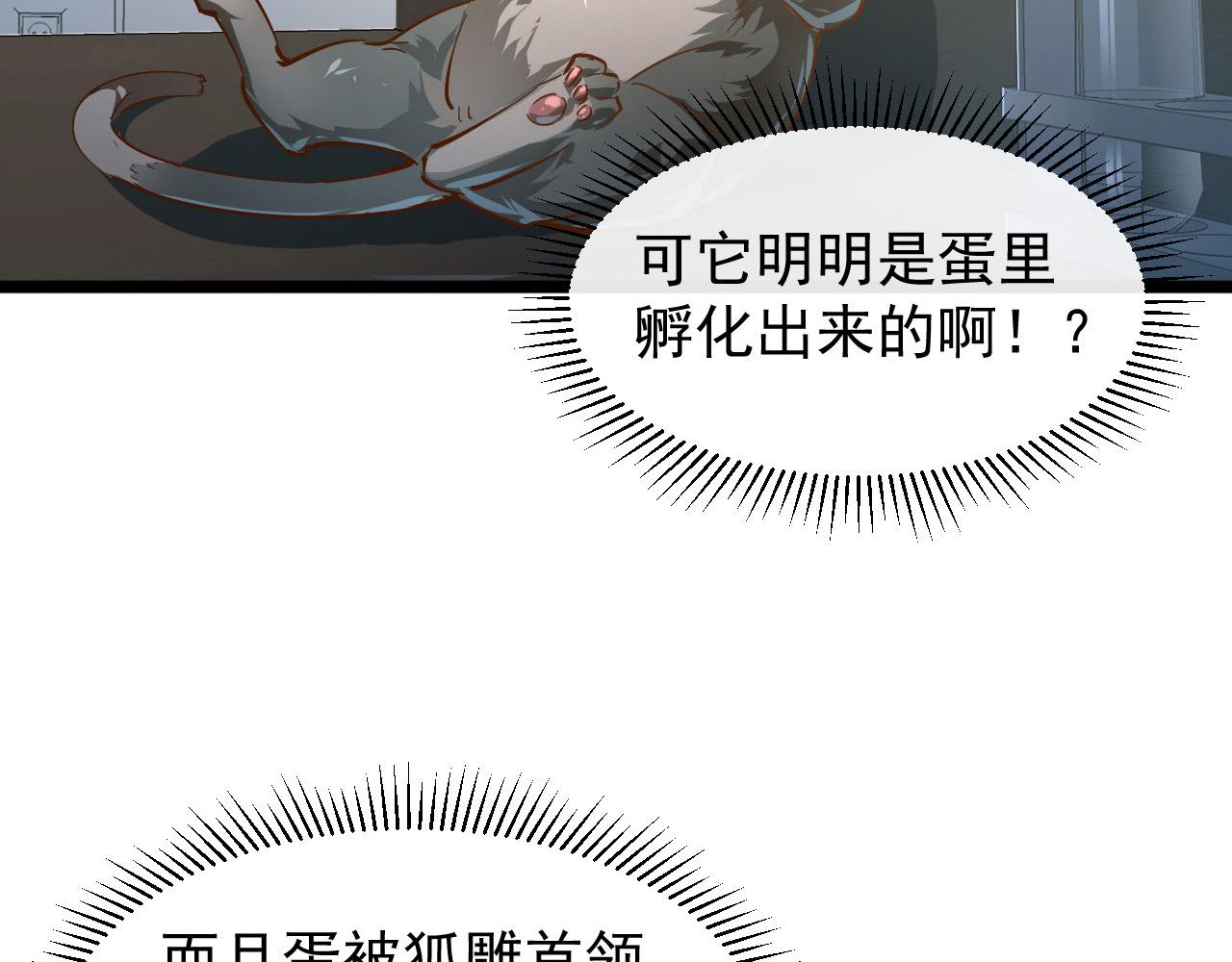 082 孵化53