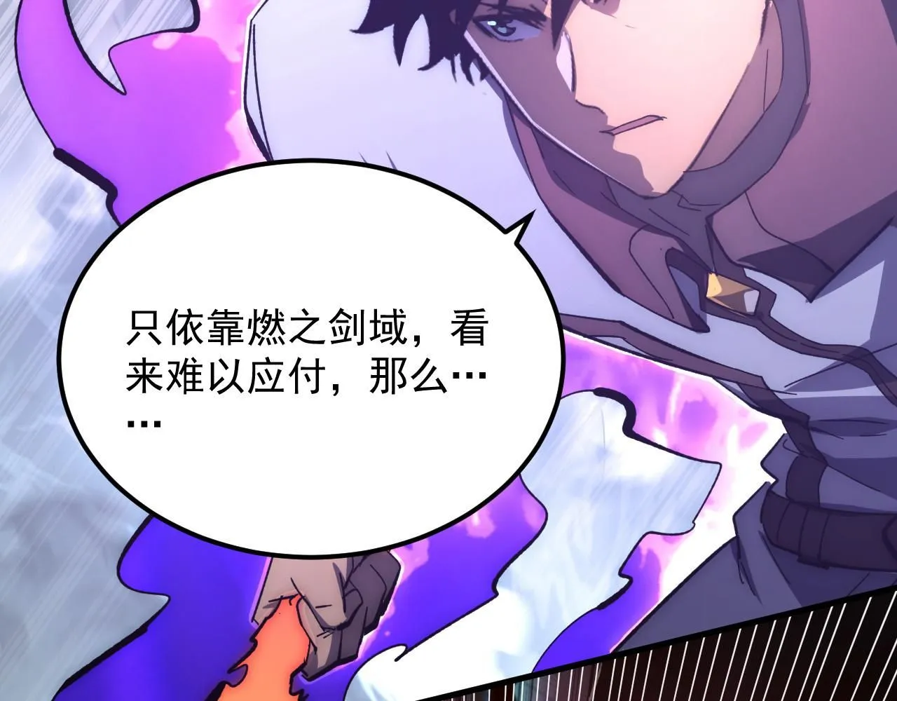 204 灰界兽王79