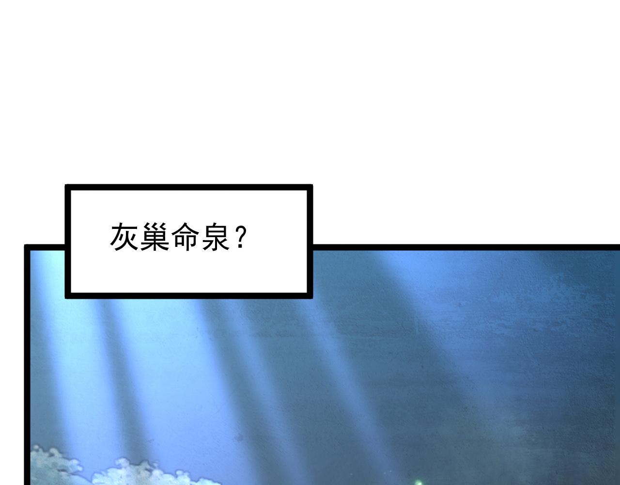 135 灰巢命泉11