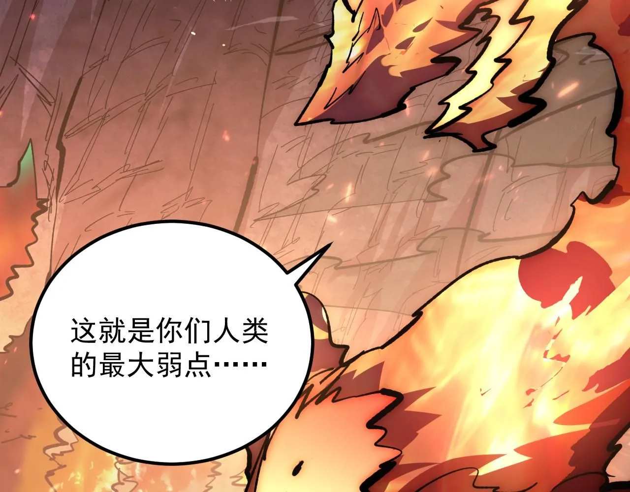 213 各自的底牌36