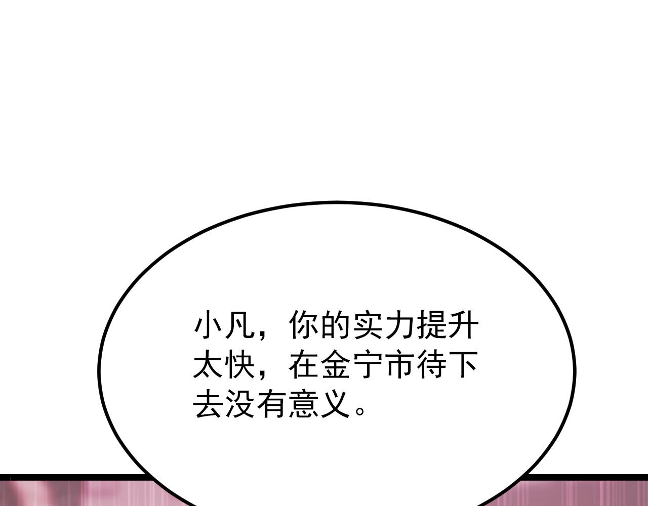 119 华国之壁117