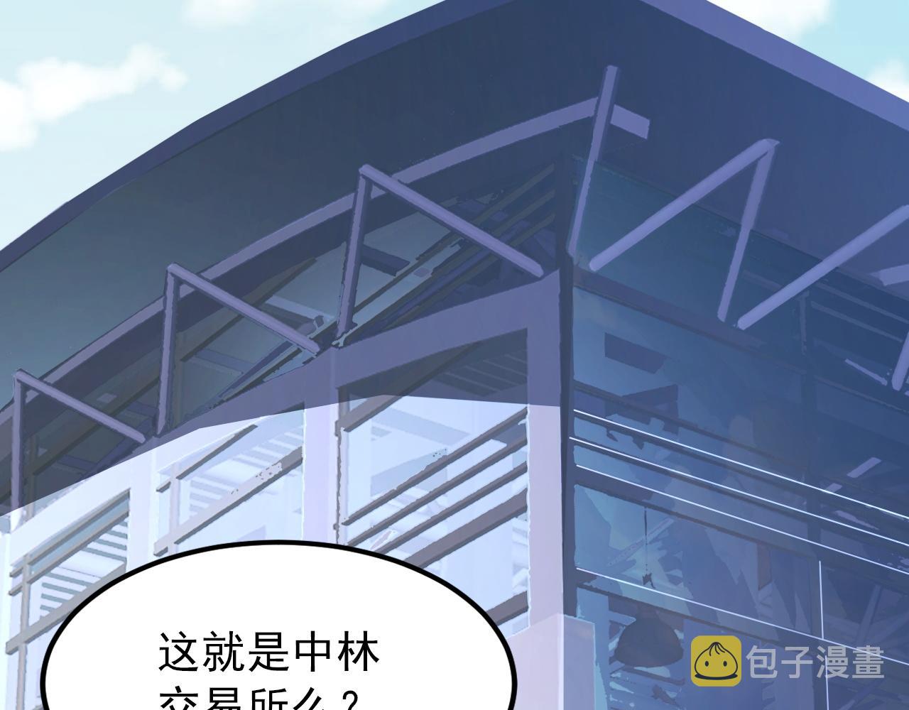 119 华国之壁98