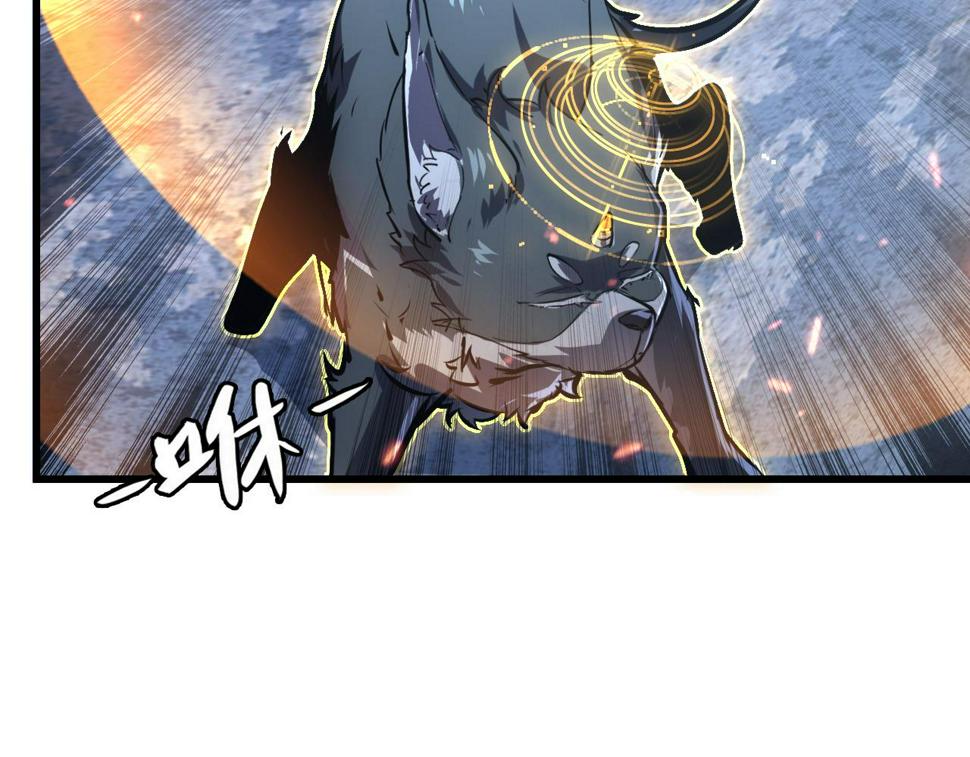 153 小家伙的蜕变115