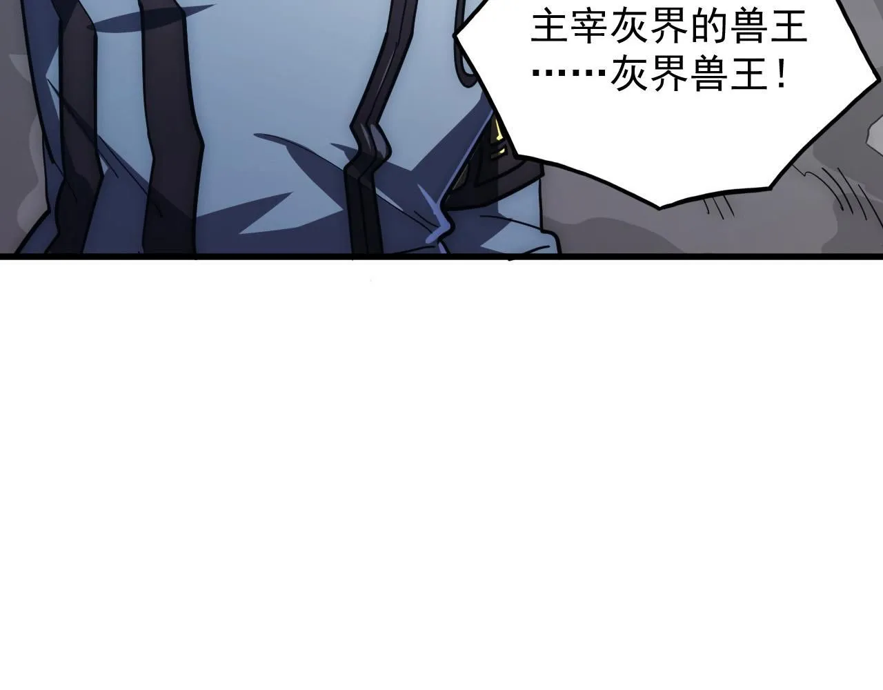 204 灰界兽王21
