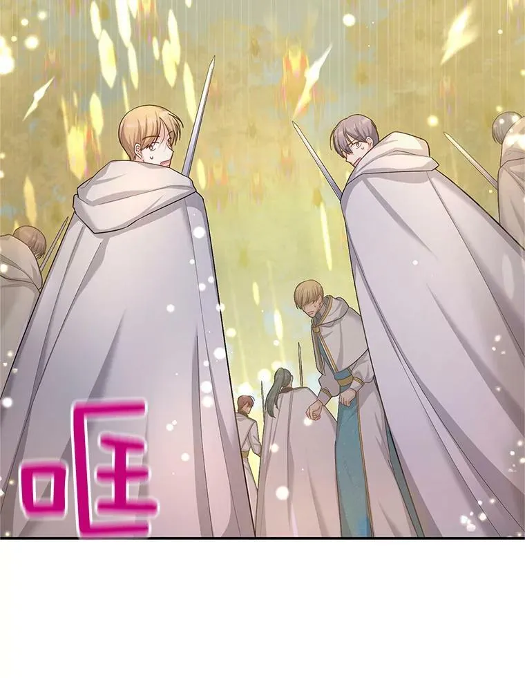96.黄金召唤师的回归85