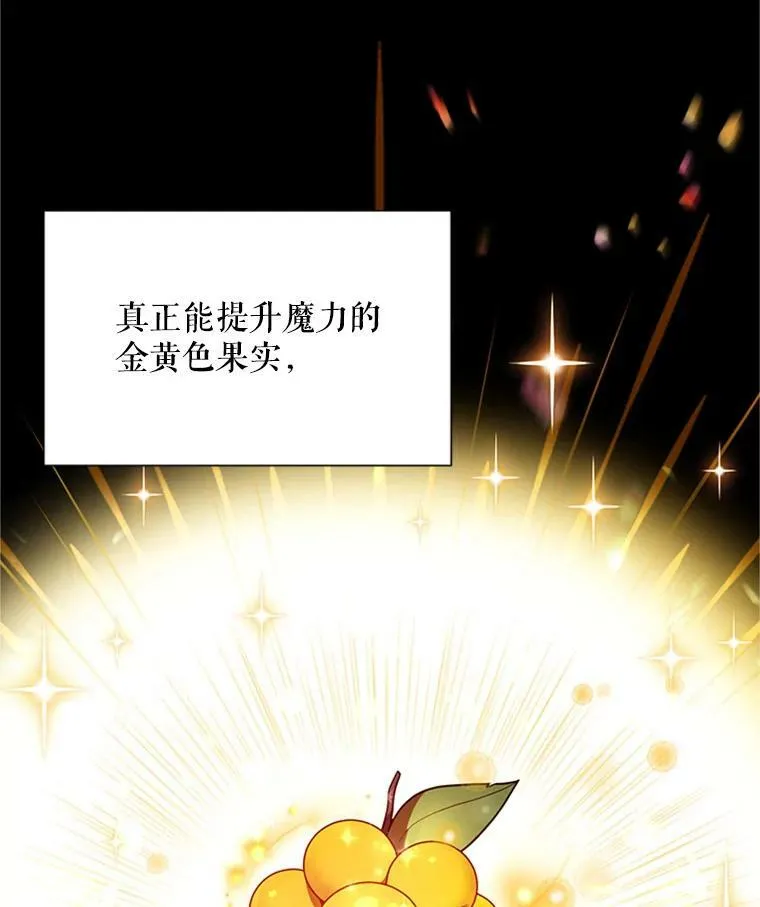 27.绮丽丹果实79